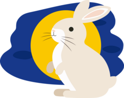 Chinese moon rabbit, Jade hare with full moon background and festive pattern. png