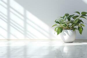 White wall room for display of presentation product with windows showing sunlight, vase and pot with a plant in the style of minimalist background, modern interior concept, AI generate photo