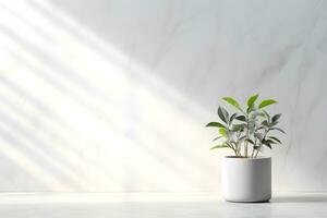 White wall room for display of presentation product with windows showing sunlight, vase and pot with a plant in the style of minimalist background, modern interior concept, AI generate photo