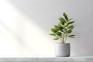 White wall room for display of presentation product with windows showing sunlight, vase and pot with a plant in the style of minimalist background, modern interior concept, AI generate photo