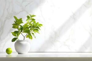 White wall room for display of presentation product with windows showing sunlight, vase and pot with a plant in the style of minimalist background, modern interior concept, AI generate photo