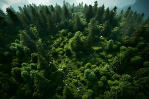 aéreo parte superior ver bosque árbol, selva ecosistema y sano ambiente concepto y fondo, ai generar foto