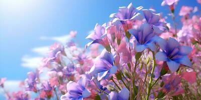 Campanula pink flowers in the field against blue sky, ai generate photo