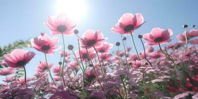 Gently pink flowers of anemones in field against blue sky, ai generate photo