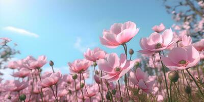Gently pink flowers of anemones in field against blue sky, ai generate photo