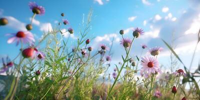 Lowers chamomile purple wild peas flowers in the field, ai generate photo