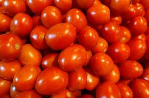 The tomato is the edible berry of the plant Solanum lycopersicum,commonly known as the tomato plant. photo