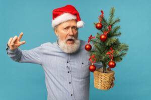 retrato de contento loco emociones Papa Noel claus emocionado mirando a cámara y sostiene pequeño Navidad árbol en azul antecedentes foto