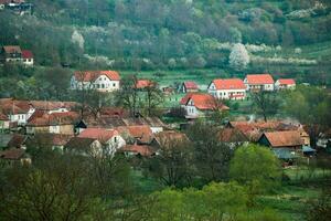 Rimetea is a small village located in Transylvania, Romania. It is situated in the Apuseni Mountains and is known for its picturesque setting and well preserved Hungarian architectural style. photo