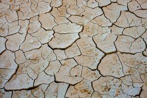 Dry cracked earth background. Global warming and climate change concept. photo