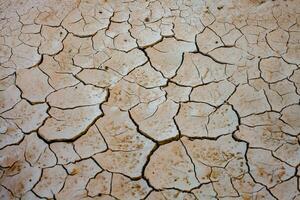 seco agrietado tierra antecedentes. global calentamiento y clima cambio concepto. foto