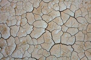 Dry cracked earth background. Global warming and climate change concept. photo