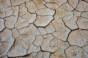 Dry cracked earth background. Global warming and climate change concept. photo