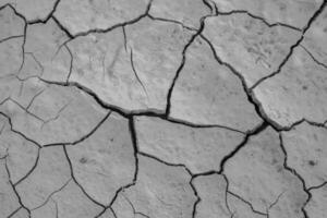 Dry cracked earth background. Global warming and climate change concept. photo