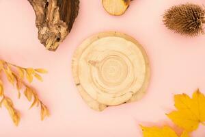 Podium or pedestal template mock up flat lay, top view. Autumn nature scene composition for cosmetics photo