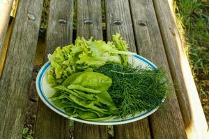 plate with lettuce, dill and spinach on a wooden bench photo