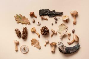 Autumn monochrome beige background with mushrooms and cones, autumn leaves flat lay, top view. photo