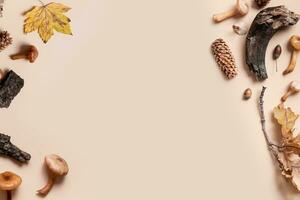 Mushrooms and autumn leaves on beige background. Autumn still life. Copy space. photo