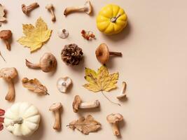 calabaza, hongos y otoño hojas en beige antecedentes. otoño todavía vida foto