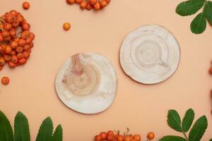 Wooden saw pedestal or podium decorated with rowan leaves and berries. Autumn mock up for beauty products flat lay, top view photo