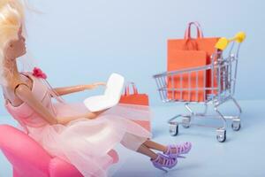 Doll with laptop and supermarket basket with shopping bag. Online sale concept photo