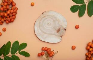 Wooden saw pedestal or podium decorated with rowan leaves and berries. Autumn mock up for beauty products flat lay, top view photo