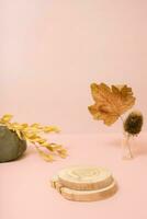 Podium or pedestal template mock up. Autumn scene composition for cosmetics photo