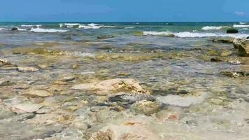 Stones rocks corals turquoise green blue water on beach Mexico. video