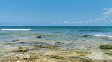 stenen rotsen koralen turkoois groen blauw water Aan strand Mexico. video