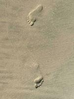 footprints on the beach photo