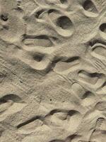 footprints on the beach photo