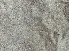 texture of the sand photo