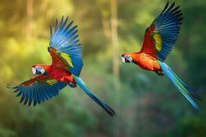 Macaw parrots flying forest. Generate Ai photo