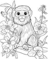 Emperor Tamarin  flowers coloring page vector