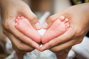 Baby feet in the father hands. photo