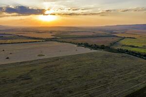 Aerial drone view of plowed and green fields, trees at sunset, agriculture concept. Countryside farmland in the summer photo