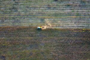 Aerial view drone of harvest field with tractor mows dry sunflower.  Harvesting in the fields. Top view photo