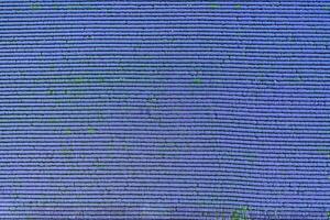 Aerial view from a drone at a lavender field.Horizontal view. photo