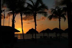 Palm Trees and Palappas Silhoeutted on a Beach photo