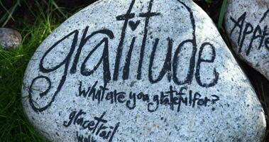 What are You Grateful For Stone Along a Trail photo