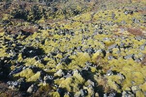 The Snaefellsnes Peninsula lava field with lush moss photo