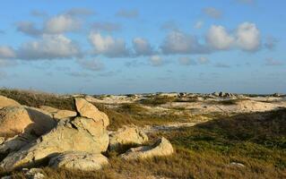 Windswept and Sunny Rugged Landscape of Aruba photo