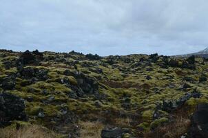 Rocky Icelandic lava field with green moss photo