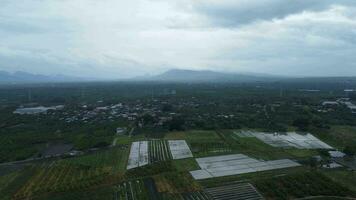 Aerial view of agricultural fields in early spring in rural scene. Agricultural landscape and rural community on sky background and mountain range. video