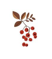 Indulge in the allure of nature's charm with this captivating illustration of a cranberry branch. A splash of vibrant red and natural beauty. vector