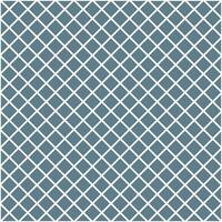 Grey lattice pattern. lattice mesh pattern. lattice seamless pattern. Decorative elements, clothing, paper wrapping, bathroom tiles, wall tiles, backdrop, background. vector