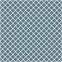 Grey lattice pattern. lattice mesh pattern. lattice seamless pattern. Decorative elements, clothing, paper wrapping, bathroom tiles, wall tiles, backdrop, background. vector