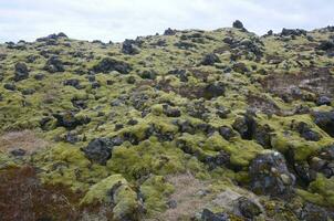 Ice capped landscape with volcanic rocks and moss photo