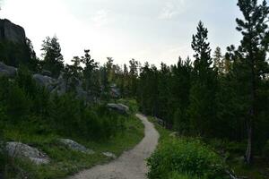 Deserted Hiking Trail Through the Woods in South Dakota photo