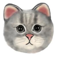 gatto cartone animato così carino png